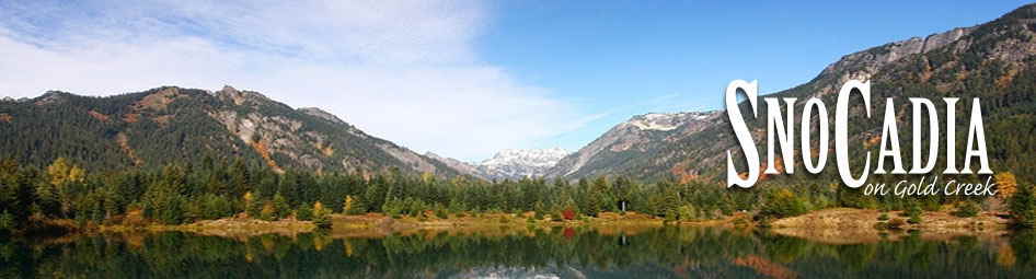 summerbanner